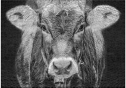 Ulmer 2927 - Allgäu - 1000 db-os puzzle (2927)