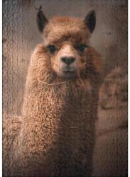 Ulmer 3191 - Queen of the Andes - 1000 db-os puzzle (3191)