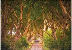 Ulmer 4655 - The Dark Hedges - 1000 db-os puzzle (4655)