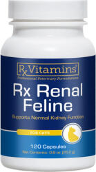 RX Vitamins Renal Feline tablete (120 buc)
