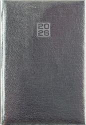 Dayliner Naptár, tervező, B6, heti, DAYLINER, Mirror , ezüst (NMHB6EU) - iroda24