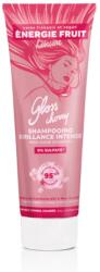 Energie Fruit Sampon stralucire si protectie culoare cu Otet organic Zmeura si Flori de cires, 250ml, Energie Fruit