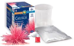 Sentosphère Mini készlet saját kristályok növesztéséhez - Vörös kristály