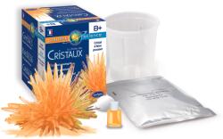 Sentosphère Mini készlet saját kristályok növesztéséhez - Sárga kristály