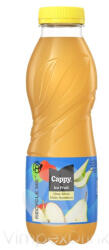  COCA Cappy Ice Alma-Körte 0, 5l PET - DRS - foodplaza