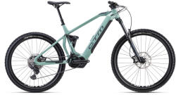 CTM SWITCH Comp (2024)