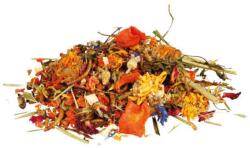 TRIXIE Natural Food Mixture for Bearded Dragons - kiegészítő eleség (lisztkukac, rost, szöcske) szakállas agámák részére (100g)