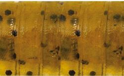 Rapture ULG Cricket 33mm/1g Watermelon Bf 8 db lágygumi csali (187-21-101)