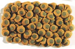 Tetra Pleco Spirulina Wafer - díszhaltáp trópusi halak részére (250ml/105g)