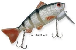 Rapture Dancer Perch wobbler natural Roach 16cm 60 g (187-03-162)