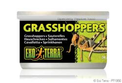 Hagen Exo-Terra Grasshoppers - hüllőeledel (szöcske) 34g