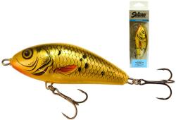 Salmo Wobbler Fatso F10f Rr (84550130)