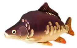 Energofish Halas Párna Ponty baby 33cm