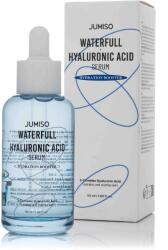 Jumiso Waterfull Hyaluronic Acid Serum, 50ml