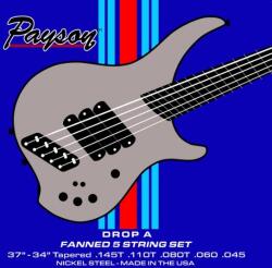 Payson Fanned NS 5 Drop A