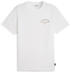 PUMA Puma, Kerek nyakú mintás póló, Piros, Zöld, Fehér, M (625415-02-M)