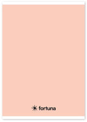Fortuna Füzet vonalas FORTUNA Monocolor A/5 32 lapos pasztell barack - pepita