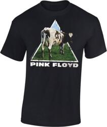 Pink Floyd Atom Heart Black 2XL Ing (PFTS05004XXL)
