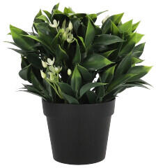  Cserepes művirág fehér virágokkal és zöld levelekkel, 20 cm (2042 (Secret Aroma))