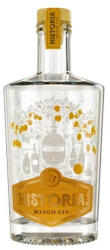 Historia Hungarian Mango Gin 42% 0,7 l