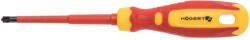 Högert Technik Csavarhúzó szigetelt csillag, Phillips, PZ2/SL6, 1000V, 100 mm, CrMo acélötvözet HT1S977-1 (HT1S977-1)