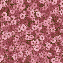 Takoy Prémium pamut NELA mini virágok wildflower Dance pink