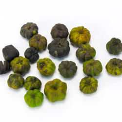  Tökbogyó zöld 1*1, 5cm 20/cs 1002_Z (1002_Z)