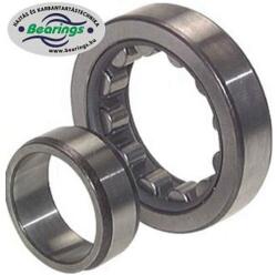 SKF Nu 2209 Ecp (skf)