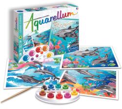 Sentosphère Aquarellum - Delfinek