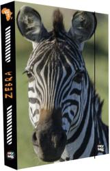 KARTON P+P Zebra füzetbox A4 (796923)