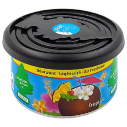 Wunder-Baum , Fiber Can, Tropical (30881055) (30881055) - aqua