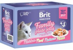 Brit Premium by Nature Family Plate Delicate Fillets in Jelly 12x85 g zselés tasakok macskáknak