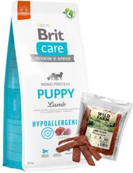 Brit BRIT CARE hipoallergén kölyök bárány 12kg + WILD FARM bárány filé 500g kutyakaják