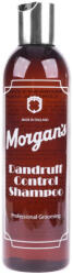Morgan's Dandruff Control Shampoo 250 ml