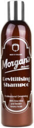 Morgan's Revitalising Shampoo 250 ml