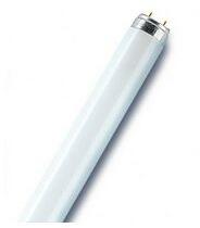 ORBITEC Fénycső 0, 3m általános-hez G13 10W 640lm 840 fehér A-en. o. ORBITEC - 10T8/840 (10T8/840)