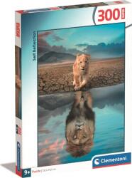Clementoni - Puzzle Self Reflection - 300 piese