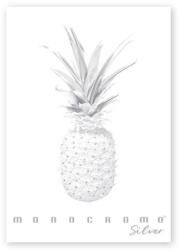 Pigna Monocromo Silver A/4 38 lapos tűzött vonalas füzet (P1111-1290)