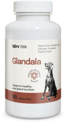 Lab-v Glandala - Susține funcționarea corectă a glandelor anale și a tractului digestiv la câini 90 capsule