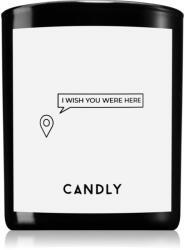 Candly & Co Candly & Co. I wish you were here ароматна свещ 250 гр