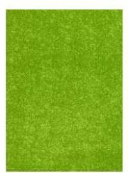  Egyszínű szőnyeg PC00A_FMC55 kiwizöld 160x230 cm