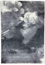  Passion H506A_SFI27 márványmintás szürke szőnyeg 200x280 cm