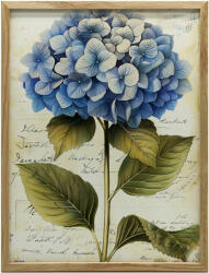  Keret Fali Plakát Hydrense Vintage Style 70x100 Cm