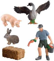 Rappa Set de joacă Rappa - Animale de fermă în cutie, 5 piese (217690) Figurina