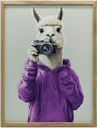  VÁSZONFESTÉS LAMA LILA KAPCSOLÓBAN 50x70 CM KERET NÉLKÜL