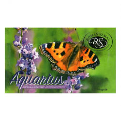  Akvarell művészkészlet, szilkés - Krzysztof Kowalsky válogatás, 12 színű - Roman Szmal Aquarius - pepita