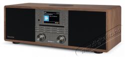 TechniSat DIGITRADIO 650, wood / anthrazit