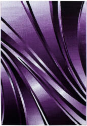  Ay. PARMA 9210 140 x 200 cm lila Modern szőnyeg
