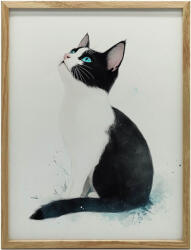  VÁSZON KÉP FALI CACSKÁHOZ FEHÉR KERETTEL 70x100 CM