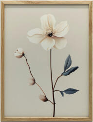  FESTMÉNY VÁSZONRA, FEHÉR ANEMONE MINIMALIST BEAUTY 50x70 KERET NÉLKÜL